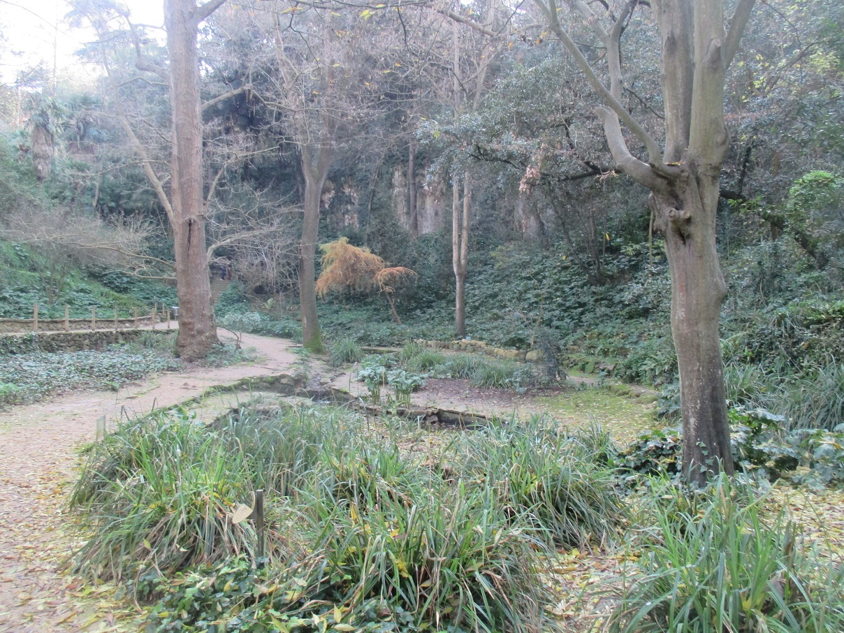 giardino botanico barcellona