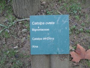 orto botanico Montjuic