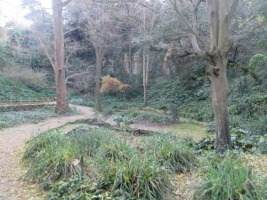 orto botanico Montjuic