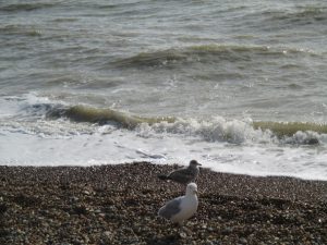 brighton spiaggia