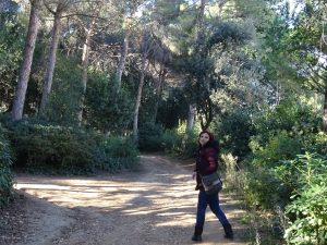 Parc del laberint d'Horta